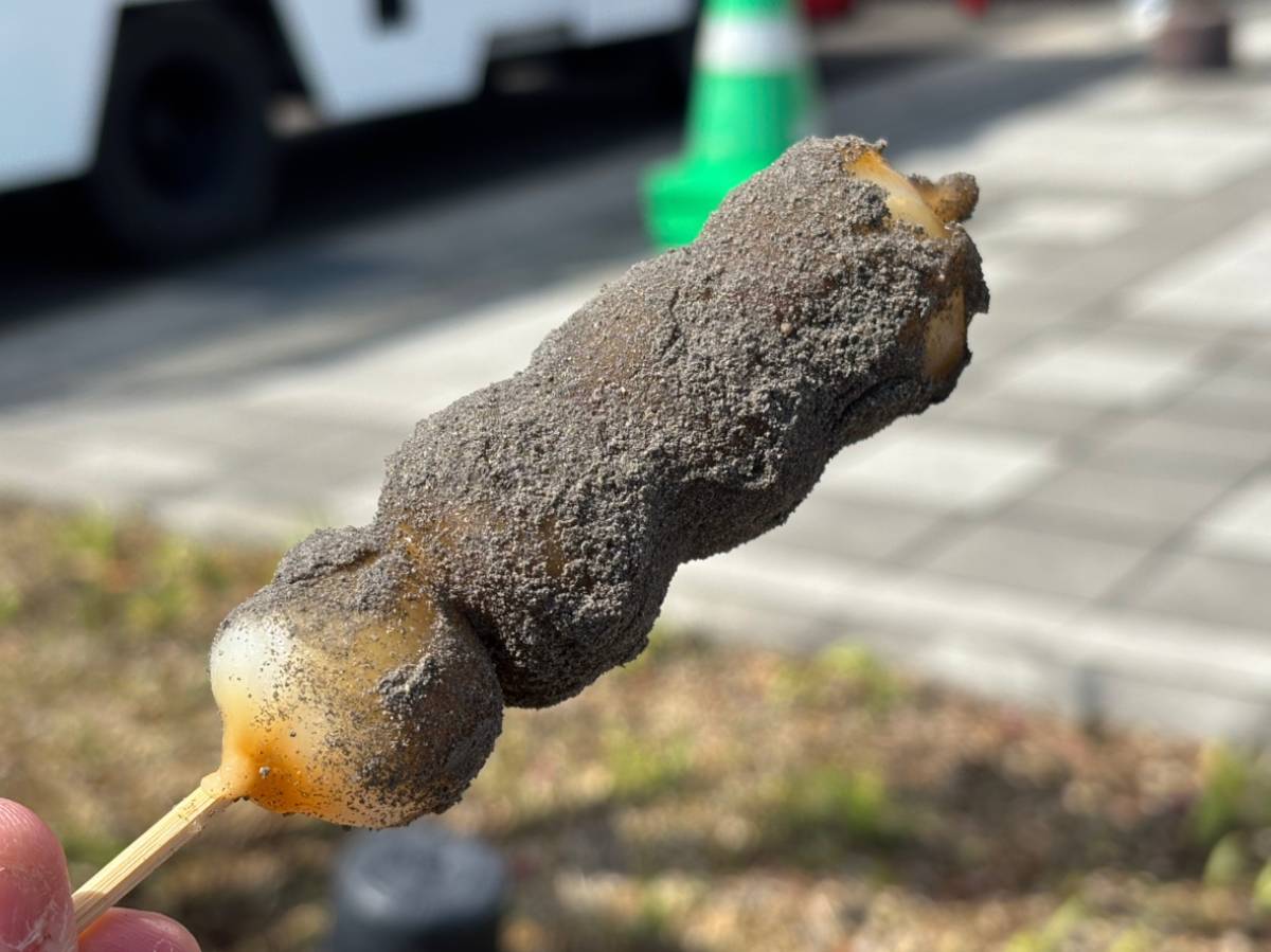 鹿児島ユナイテッドFCスタグルレポ2025】灰をかぶった！？ドカ灰だんご